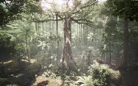 Tree multisensory VR installation