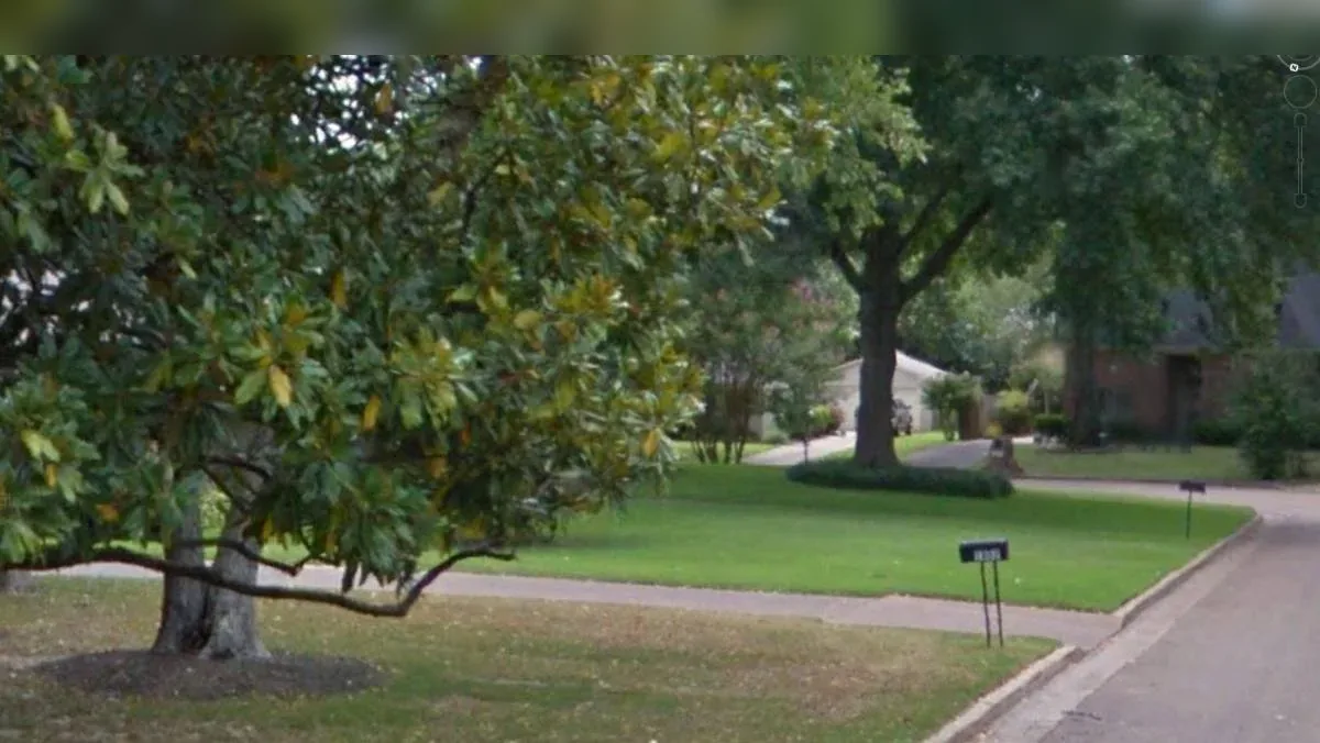 Google Street View frame