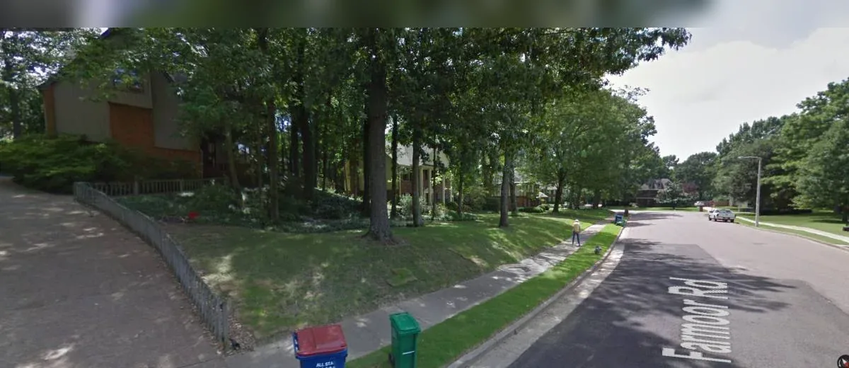 Google Street View frame